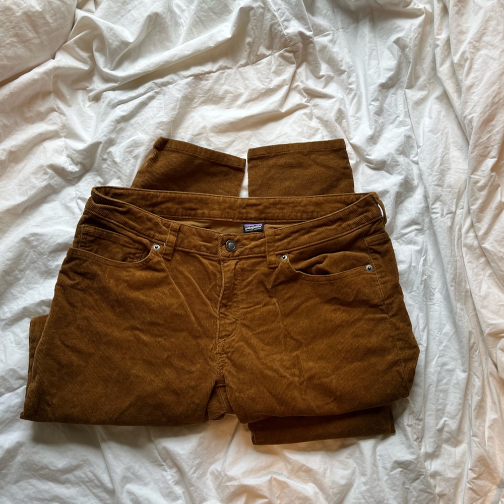 Patagonia fitted organic cotton corduroy pants
